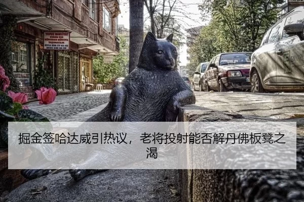 掘金签哈达威引热议，老将投射能否解丹佛板凳之渴